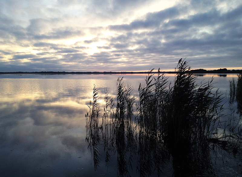 Ringkøbing fjord